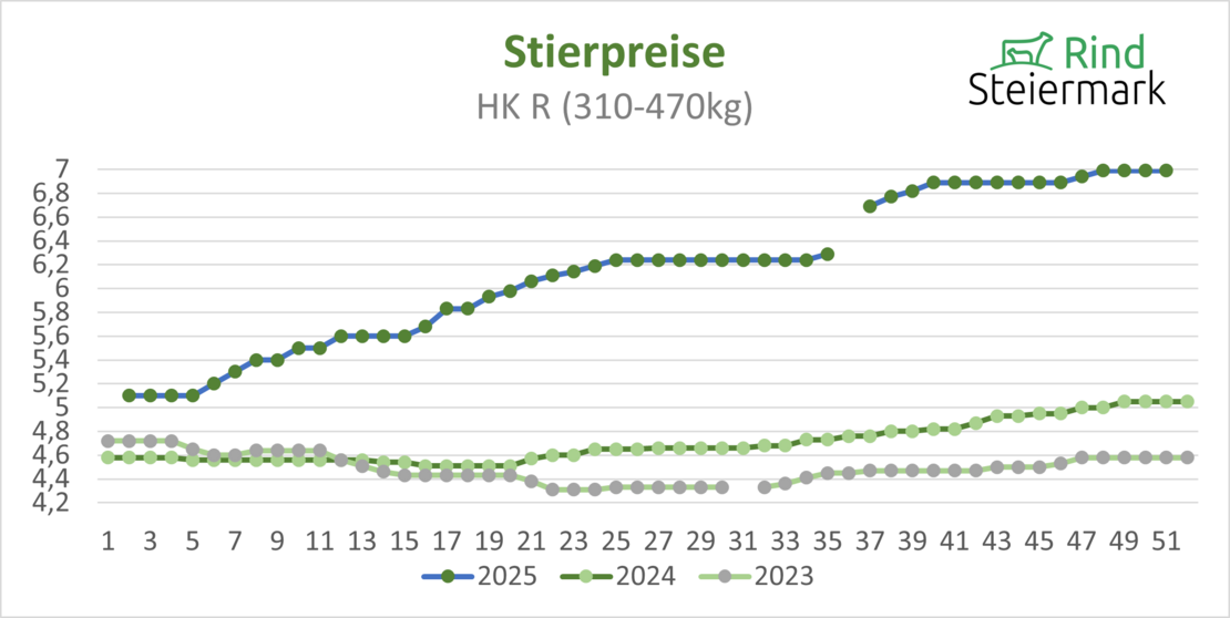 02_Stier