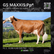 09_3GS_MAXXIS_ELISA-min