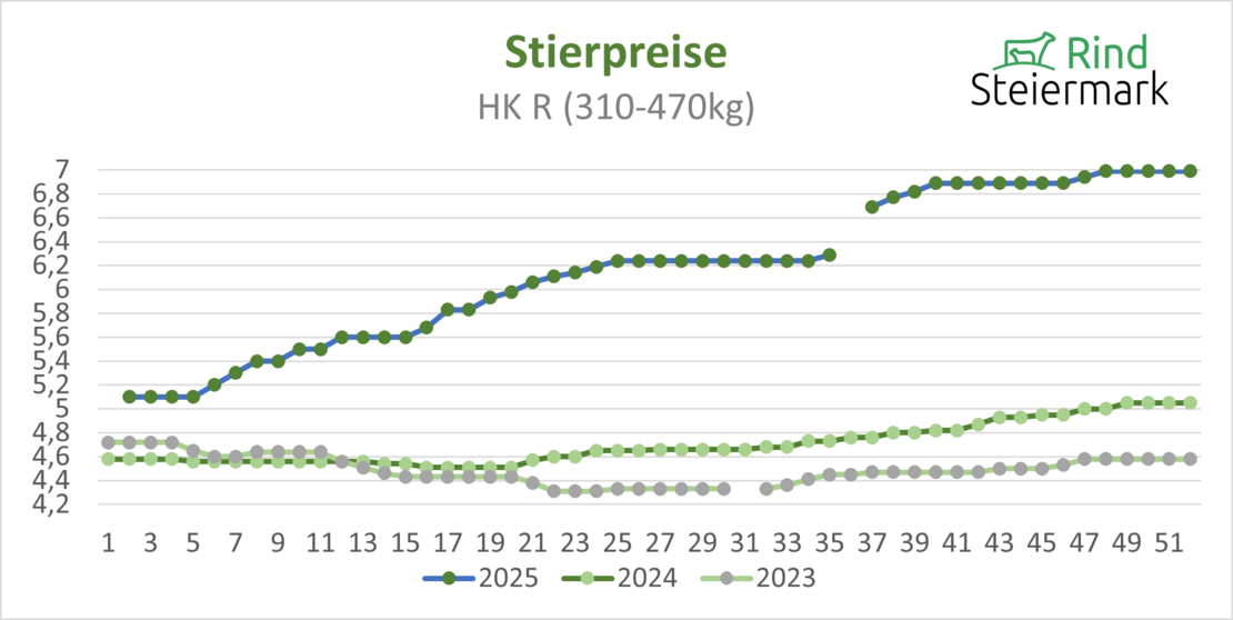 02_Stier