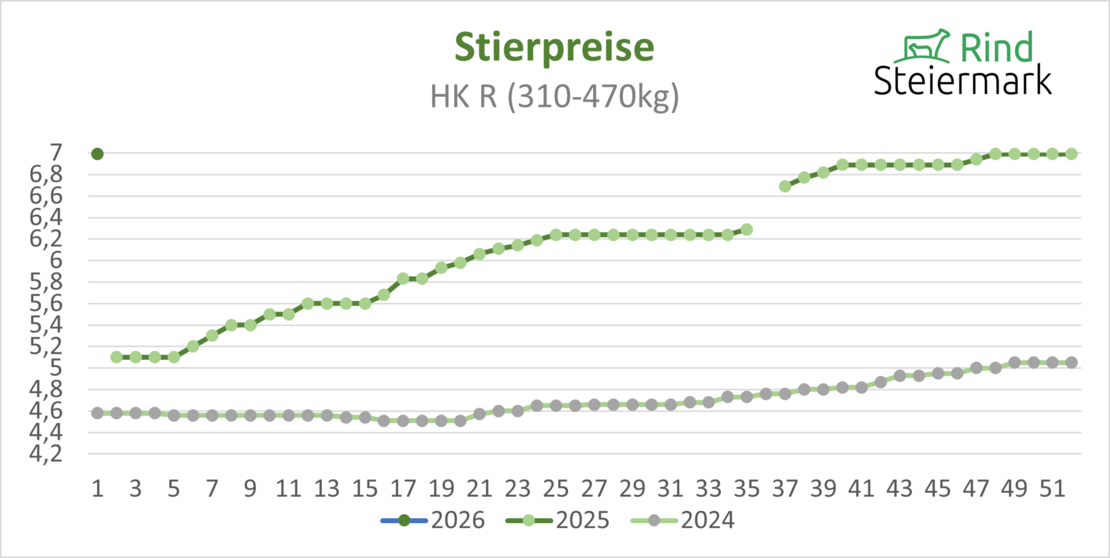 02_Stier