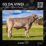 44_GS_DA_VINCI-min