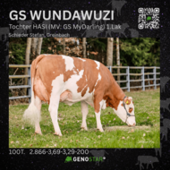 33_GS_WUNDAWUZI_HASI-min