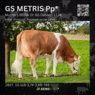 02_METRIS_Mutter-min