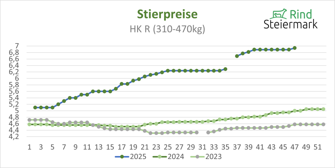 02_Stier