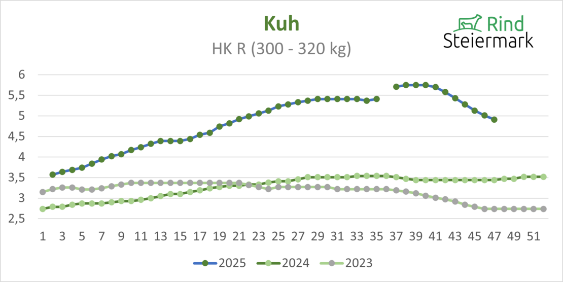 03_Kuh