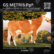 03_METRIS_Grossmutter-min