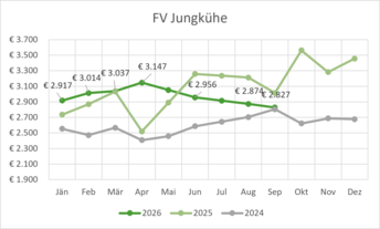 FV_Jungkuh