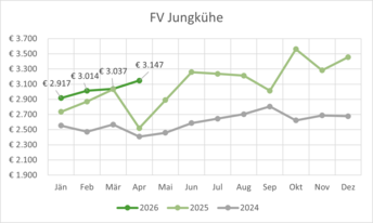 FV_Jungkuh