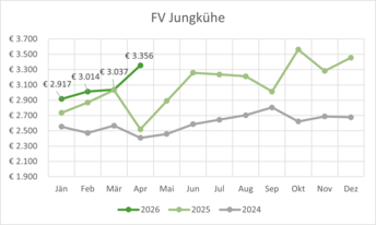 FV_Jungkuh