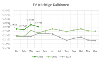 FV_Traechtige