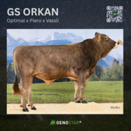 36_ORKAN-min
