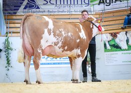 Gruppensieger_Fleckvieh_1_Lak_altmelk1_NIRA_GS_DUPLO_Eberdorfer_Peter