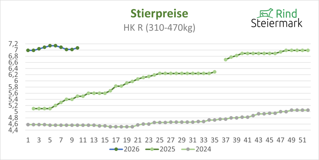 02_Stier