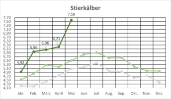01_Stierkaelber