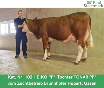 Kopie_von_Zuchtrinderversteigerung_teuerste_Tiere__1_